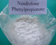 Top Quality Pharmaceutical Raw Materials Nandrolone Phenylpropionate / Durabolin NPP CAS 62-90-8